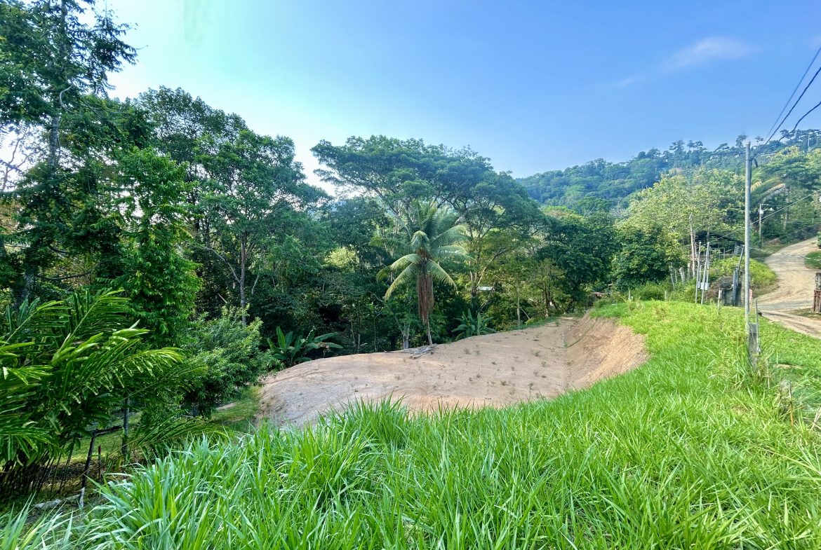 LUXURIOUS PRE-CONSTRUCTION 3-BEDROOM HOME IN DESIRED PLAYA HERMOSA – 0.57 ACRES